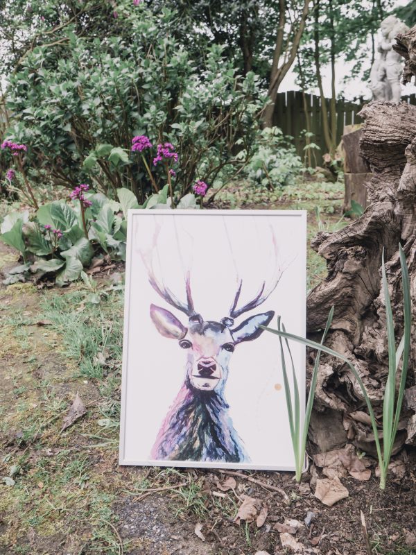 Hertje, Deer forest animal, Natuurlijk Angelart, Angela Peters. Illustraties inkt Aquarel