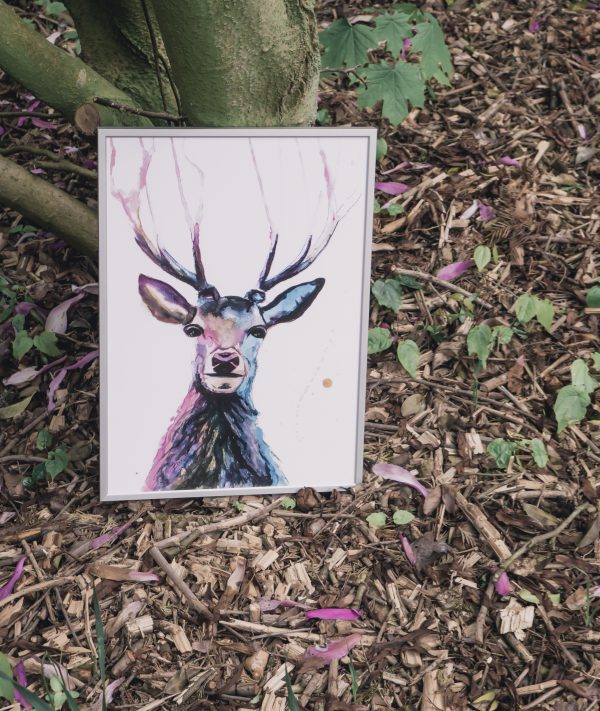 Hertje, Deer forest animal, Natuurlijk Angelart, Angela Peters. Illustraties inkt Aquarel