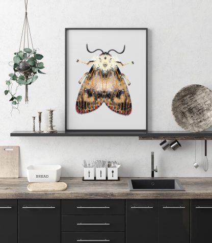 mot illustratie A3 print Angela Peters, NatuurlijkAngelart mot illustratie A3 print Angela Peters, NatuurlijkAngelart