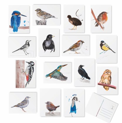 Vogel illustraties