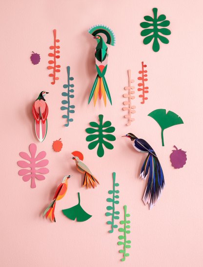 Tropische vogels en planten