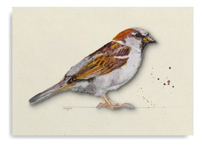 Vogel wenskaarten set - 12stuks - Blanco- Ansichtkaarten - Postkaarten
