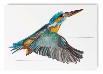 Vogel kaarten set Angelart Vogel kaarten set Angelart