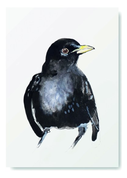 Vogel kaarten set Angelart Vogel kaarten set Angelart