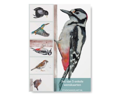 Vogel kaarten set Angelart Vogel kaarten set Angelart
