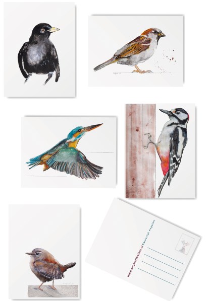 Vogel kaarten set Angelart Vogel kaarten set Angelart