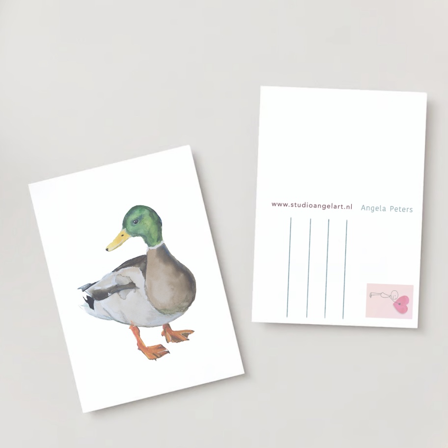 Eend vogel wenskaart