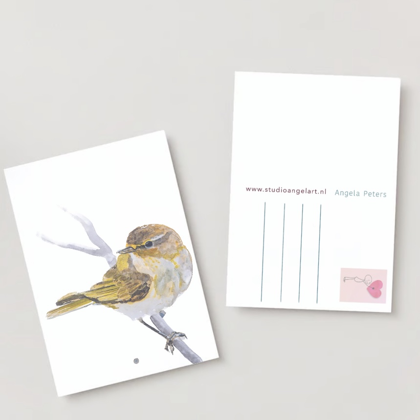 Tjif Tjaf vogel wenskaart