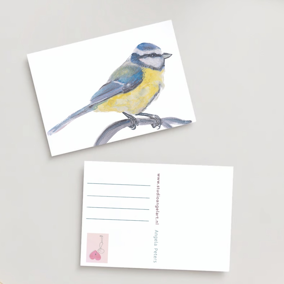 Pimpelmees vogel wenskaart