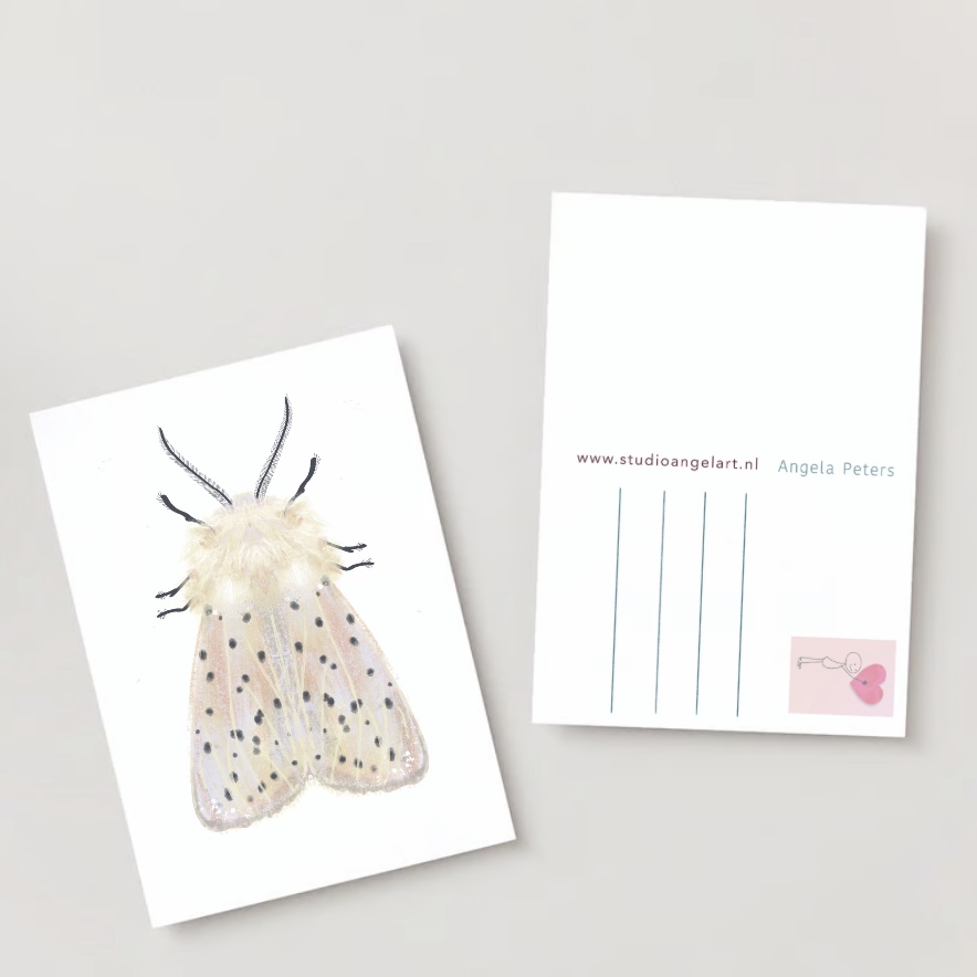Witte mot wenskaart nachtvlinder insecten