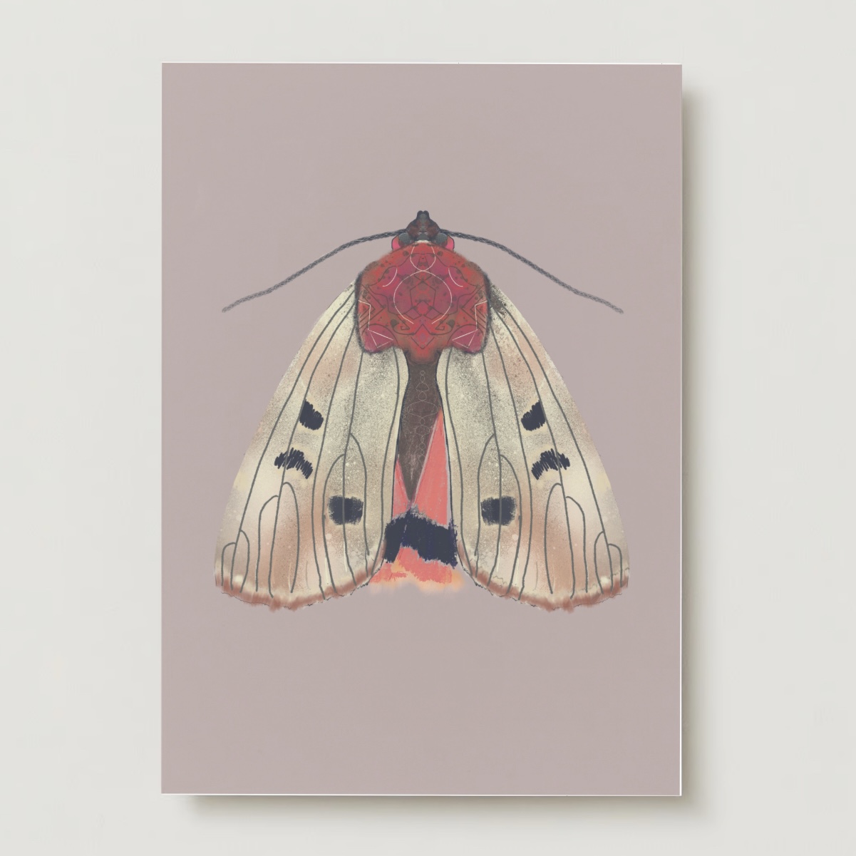 Cream mot nachtvlinder insecten wenskaart