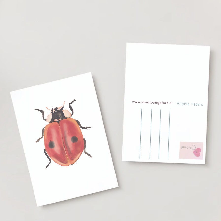 Lieveheerbeestje wenskaart insecten