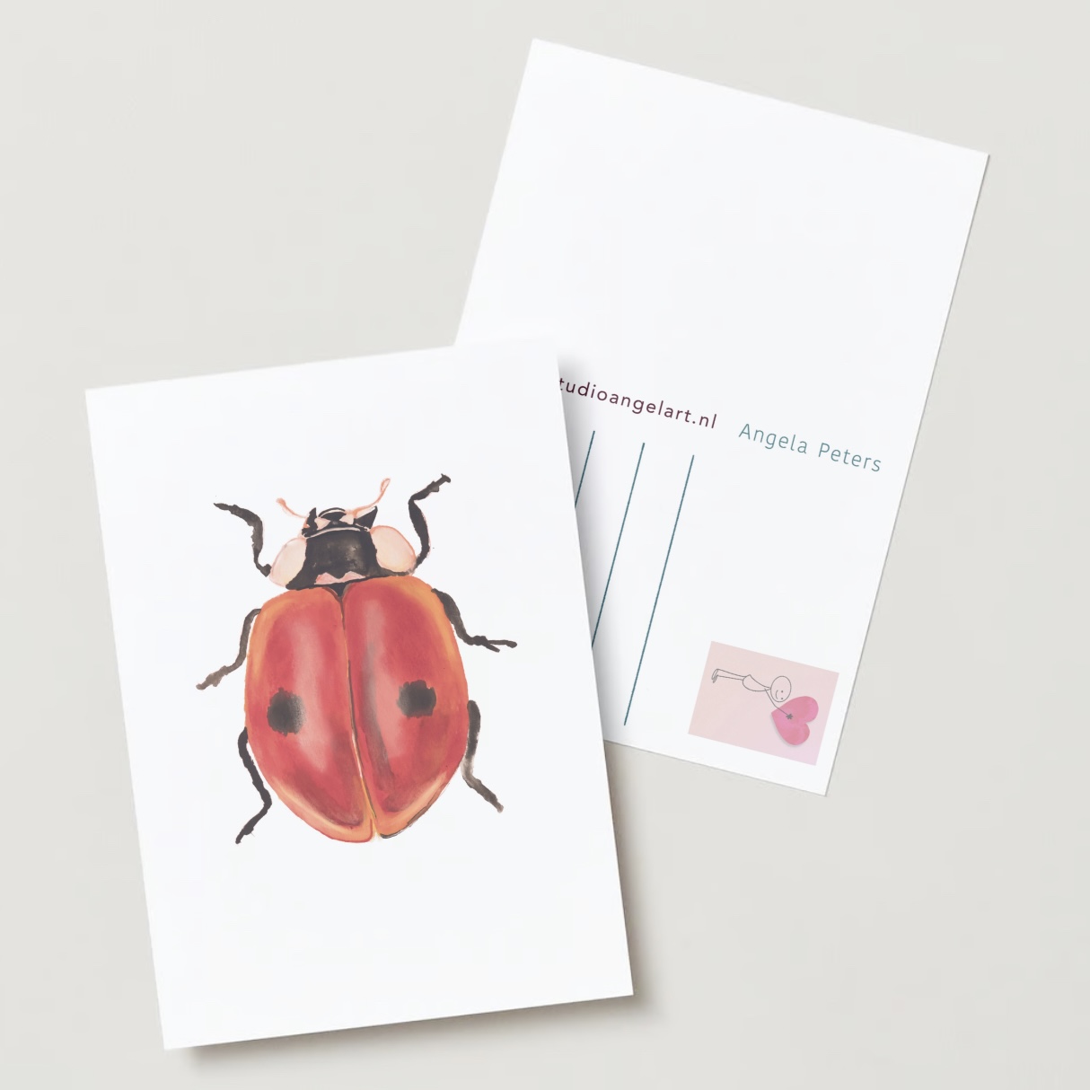 Lieveheerbeestje wenskaart insecten