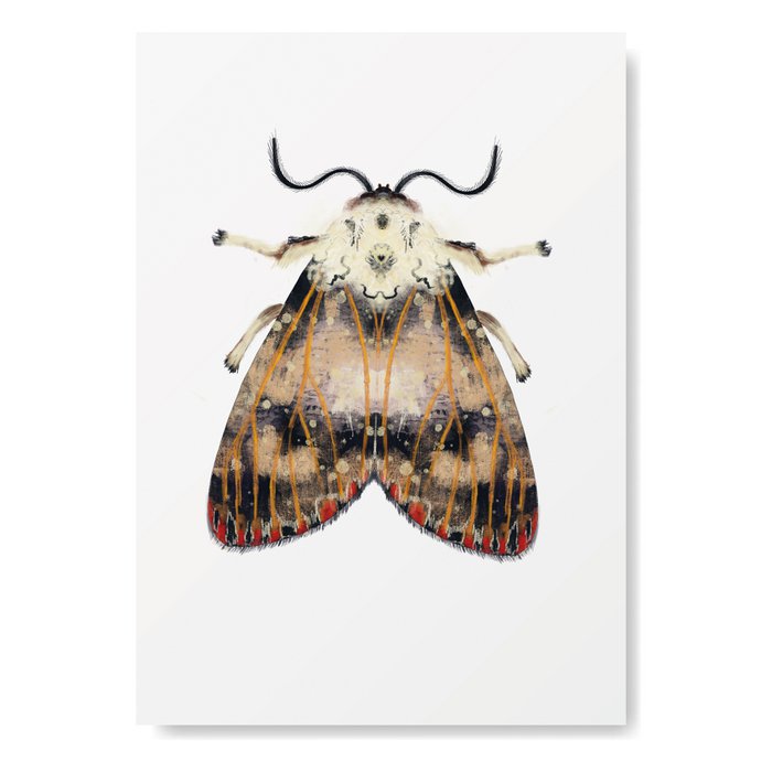 Mot met rode stippen wenskaart Mot met rode stippen wenskaart