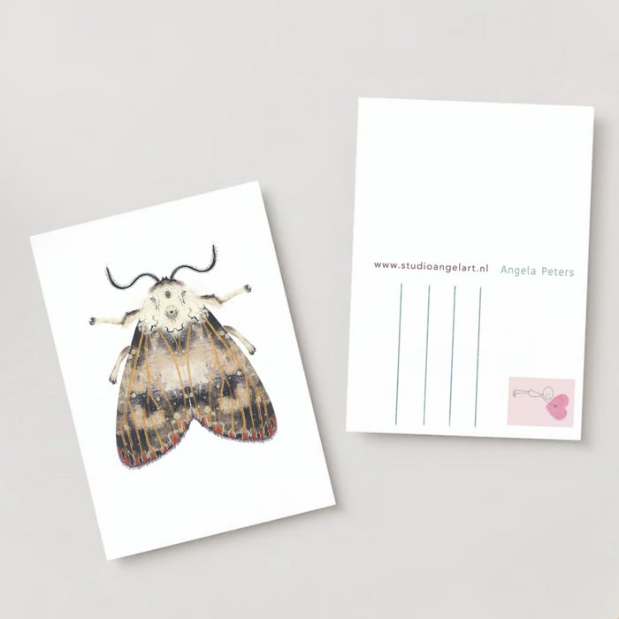 Mot met rode stippen wenskaart