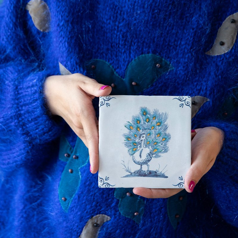 StoryTiles pauw - TROTS ALS EEN PAUW